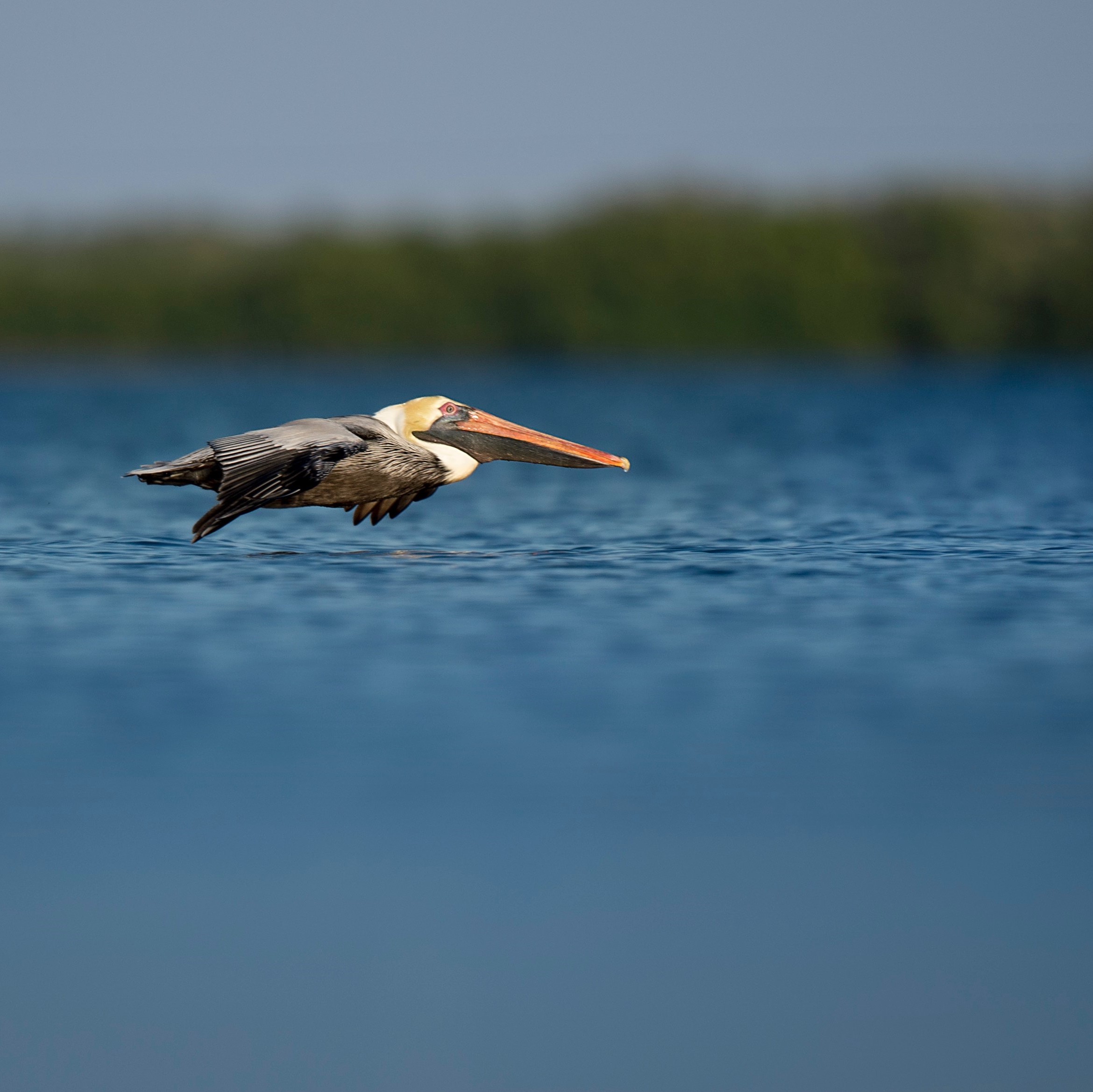 ray-hennessy-unsplash-sq
