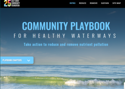 Water Quality Playbook